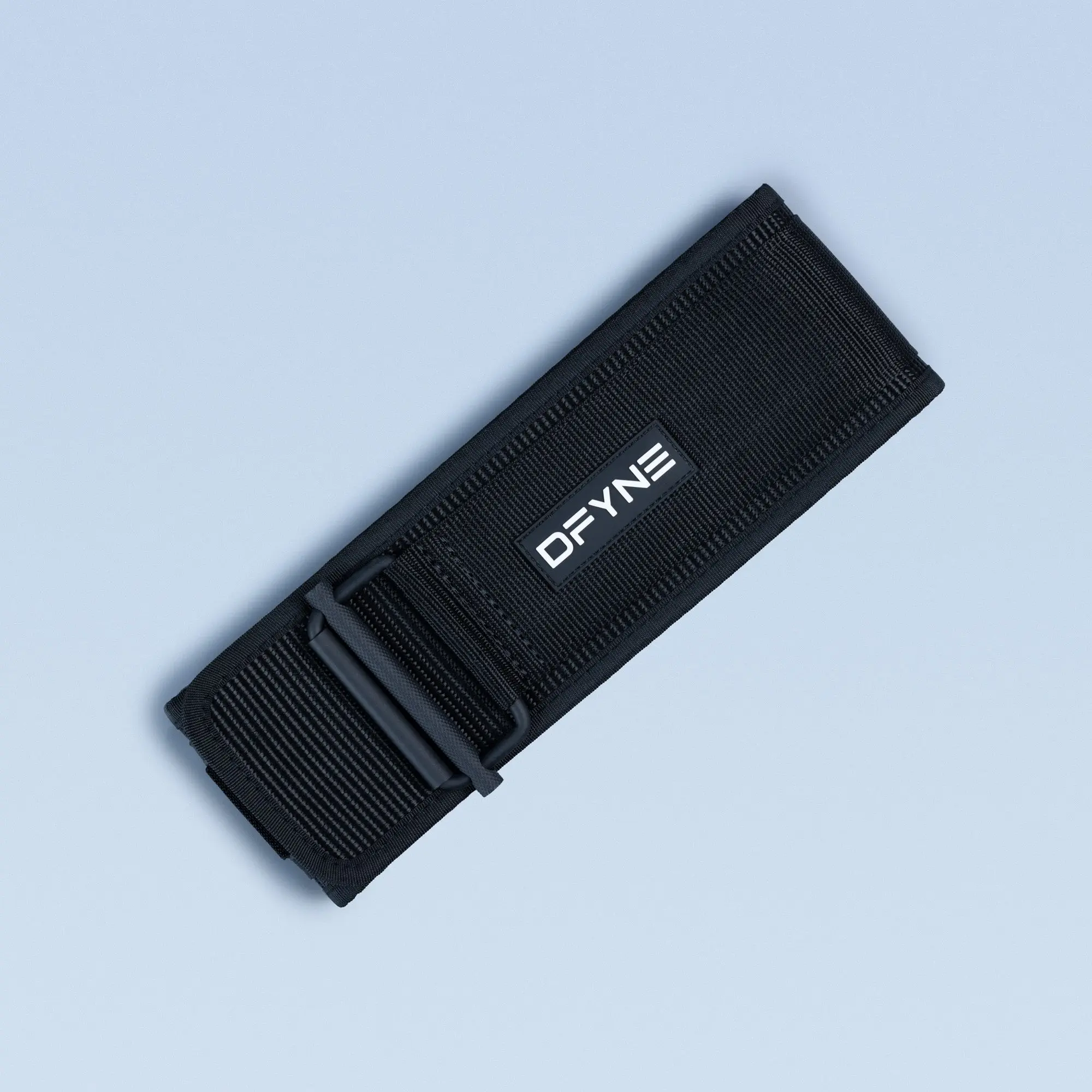 Lifting Belt